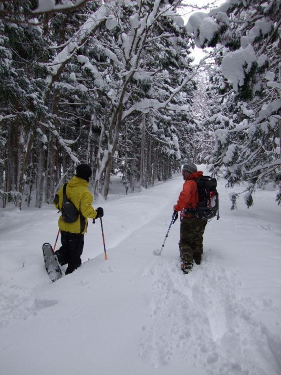 Il Bosco * Hakuba